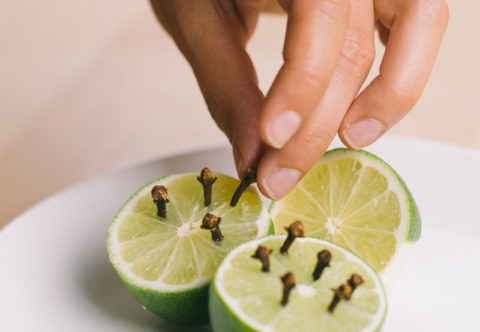 Prírodné odpudzovače hmyzu