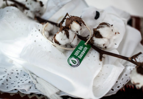 10 dôvodov, prečo nosiť biobavlnu