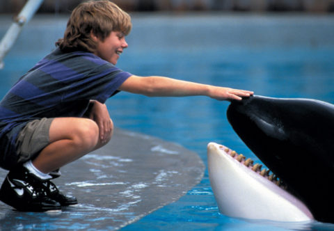 Čo sa stalo so slávnymi filmovými zvieratami?