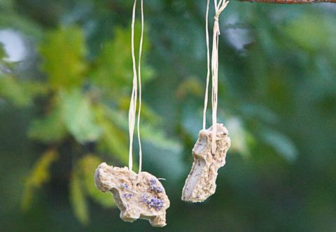 Dobroty pre vtáčiky na zimu