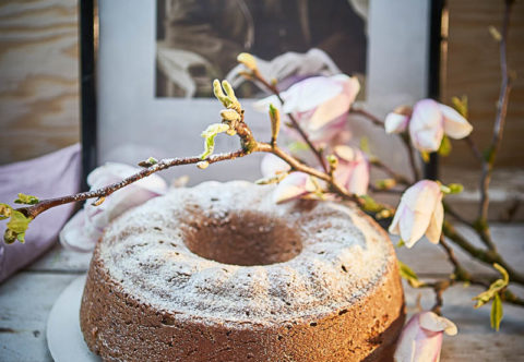 Prezidentská bábovka