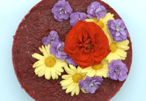Hit sezóny: Kvetinová raw torta