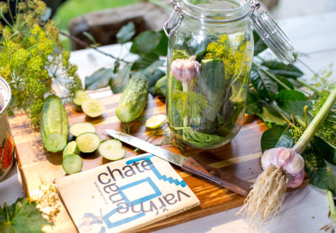 Kvasáky Jiřiny Šejbalovej