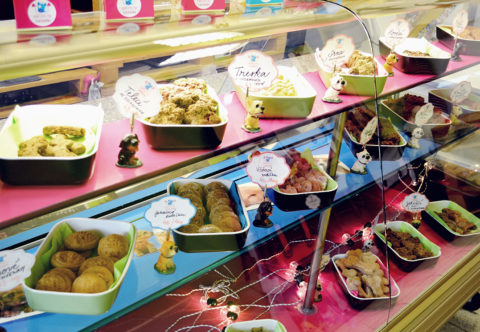 Cukráreň, v ktorej si pochutí aj váš pes