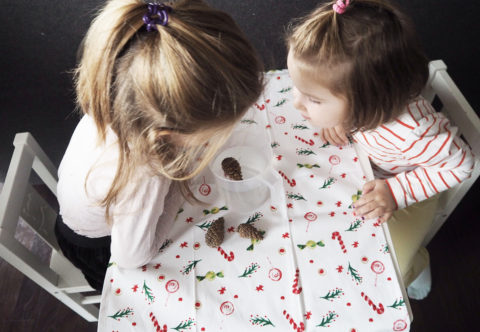 Pripravte svojim malým vedcom domáce laboratórium