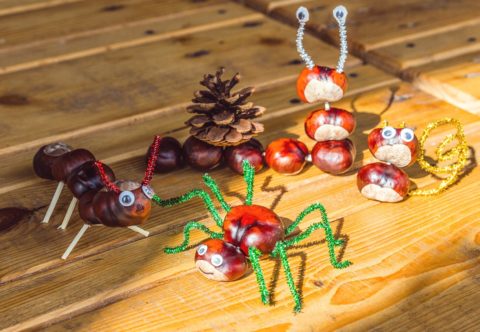 Hurá, jeseň! Tu je návod na 17 rôznych výtvorov z gaštanov