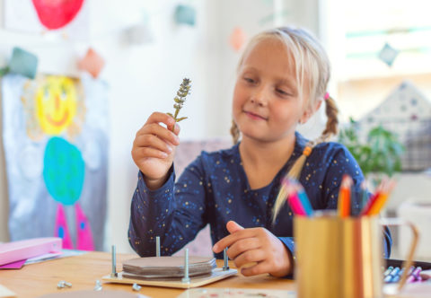 Prírodoveda hrou. Vyrábame s deťmi herbár!