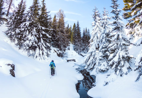 Zasnežené vrcholky hôr a čistá hlava: Nechajte sa tento rok zlákať skialpami