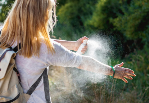 Žiadne otravné bzučanie ani mravce v kuchyni! Moje tipy, ako sa doma aj na záhrade vyhnúť hmyzu