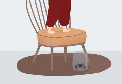 Prečo máme strach z pavúkov a nie z veveričiek? Psychoterapeut radí, ako to zvládnuť