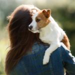 Zoznam vecí, na ktoré sa musíte pripraviť, kým si adoptujete psa z útulku