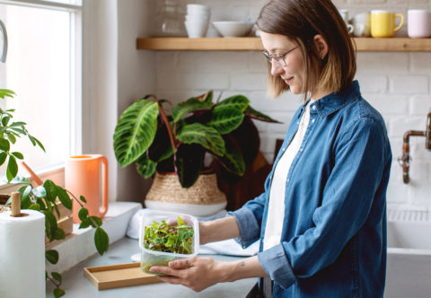 Návod na domáci miniskleník: Zachraňuje mi izbové kvetiny a pomáha s ich množením