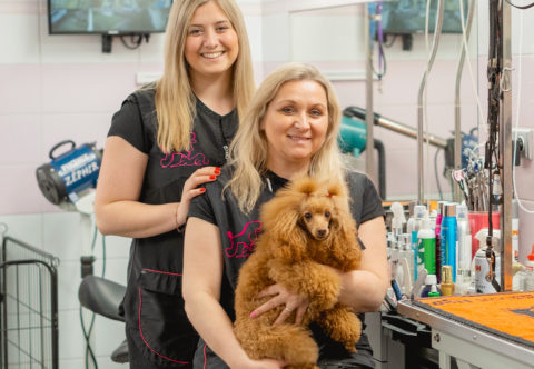 Urobte psíkom dobre. Doprajte im svieži jarný strih, budú rady, že sa páčia