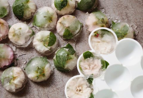 Efektné misy na chladenie nápojov: Pripravujem ľady zdobené kvetinami a bylinkami!