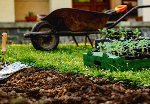 Záhradkárčenie v septembri nekončí. Ako zaistiť, aby nám všetko zase rástlo, a ešte lepšie?