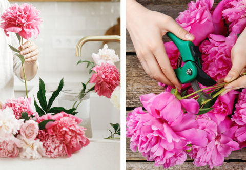 Letné kvetiny do vázy trhajte ráno a do vody im vhoďte päťcentovku