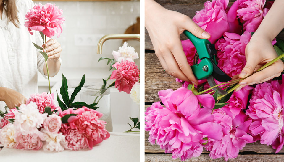 Letné kvetiny do vázy trhajte ráno a do vody im vhoďte päťcentovku
