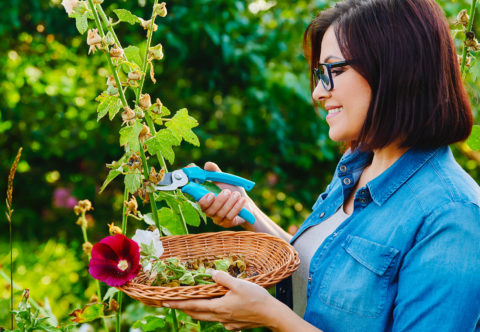 Semienka na budúci rok – už nikdy nebudem kupovať priemyselné z obchodu