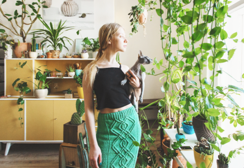 Izbové kvety podľa feng šuej: Kde ich správne umiestniť, aby kvitli aj vaše nervy