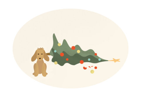 Maminko, ty nám celá hoříš! a Ako prežiť vianočné prípravy bez úrazu a návštevy pohotovosti