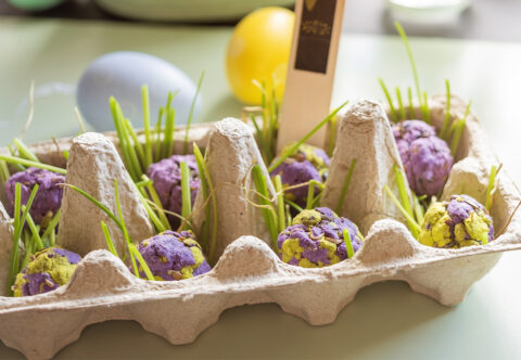 DIY návod na semienkové bomby: Tip na netradičnú výslužku pre šibačov