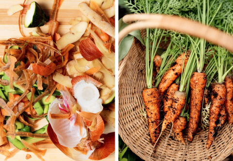 Nevyhadzujem, hádžem to do hrnca! Alebo využívam potraviny do poslednej šupky