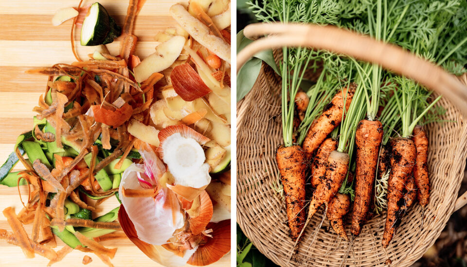 Nevyhadzujem, hádžem to do hrnca! Alebo využívam potraviny do poslednej šupky