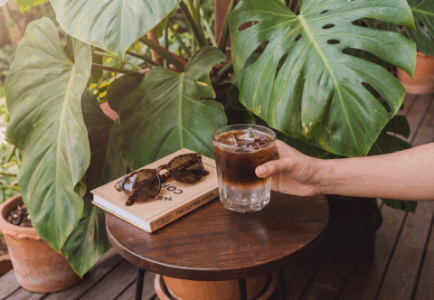 Coco Americano: Moja letná kávová závislosť s nádychom exotiky